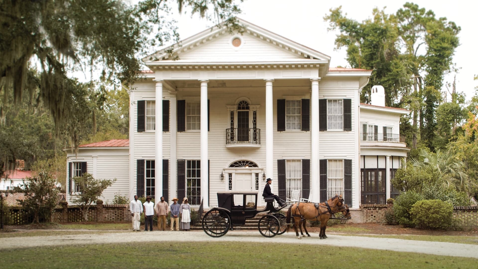 ჭრიჭინების ცეკვა  ქართულად -  The Crickets Dance