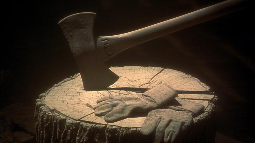 სისუსტე  ქართულად -  Frailty