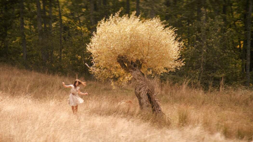 ლუკანია  ქართულად -  Lucania