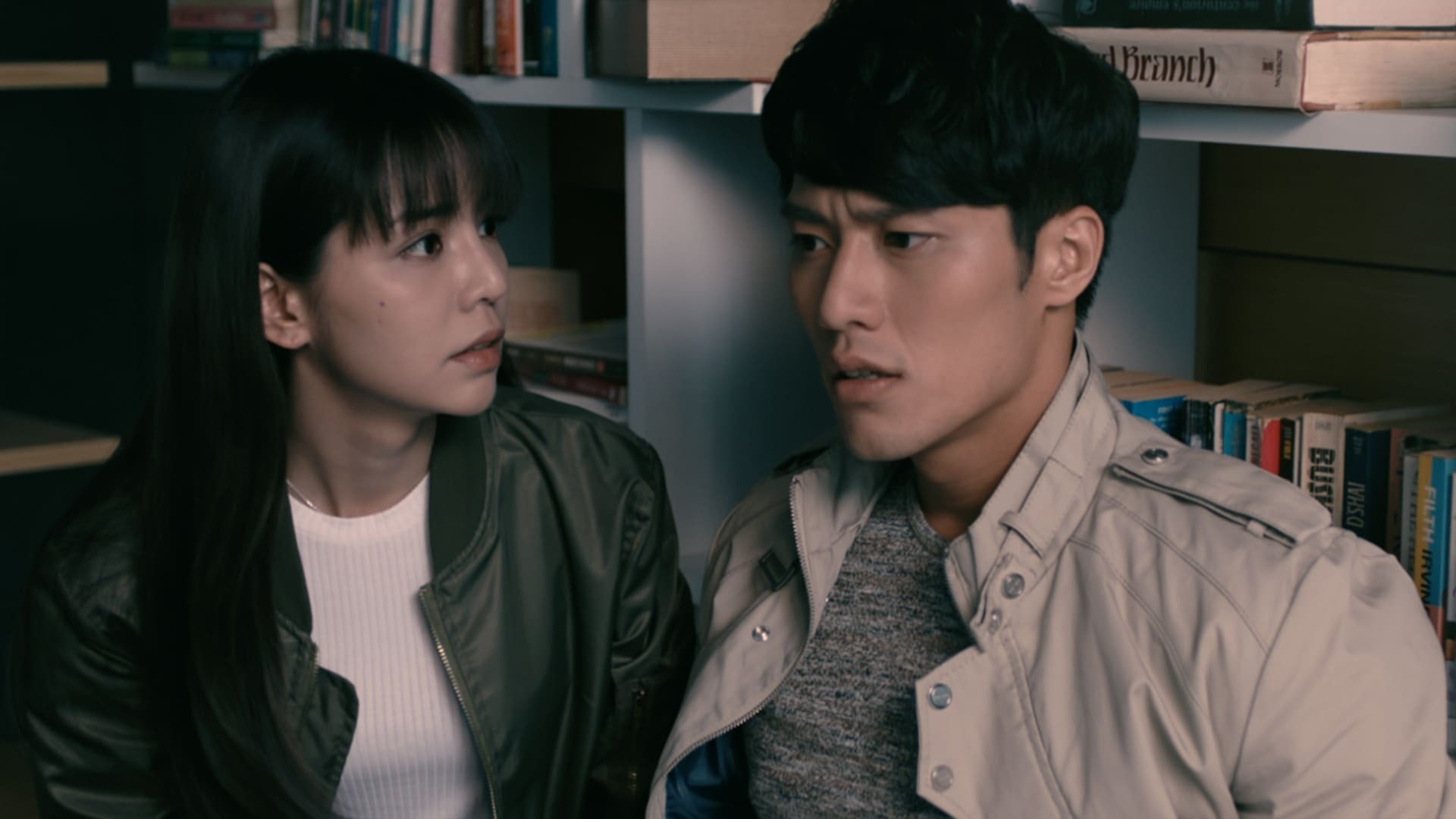 სრულყოფილი გოგონა  ქართულად -  The Perfect Girl