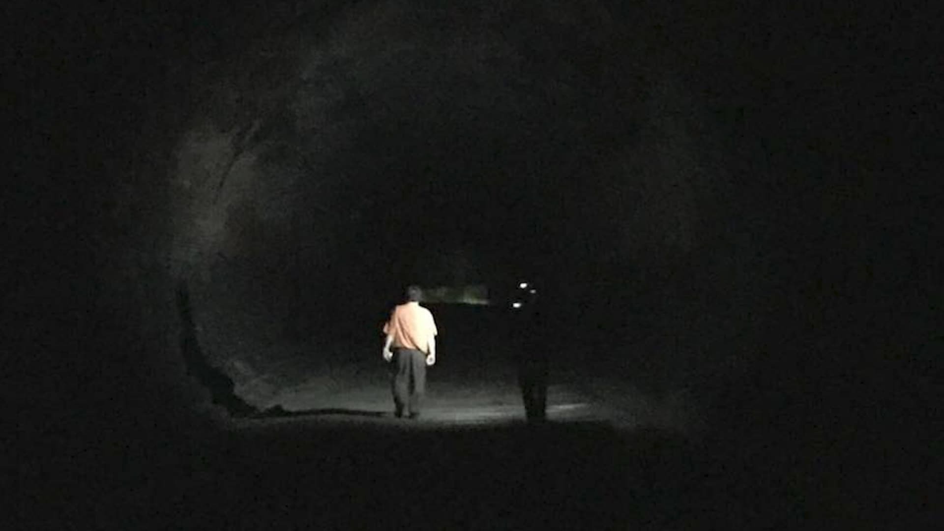 ბინადრები  ქართულად -  Dwellers