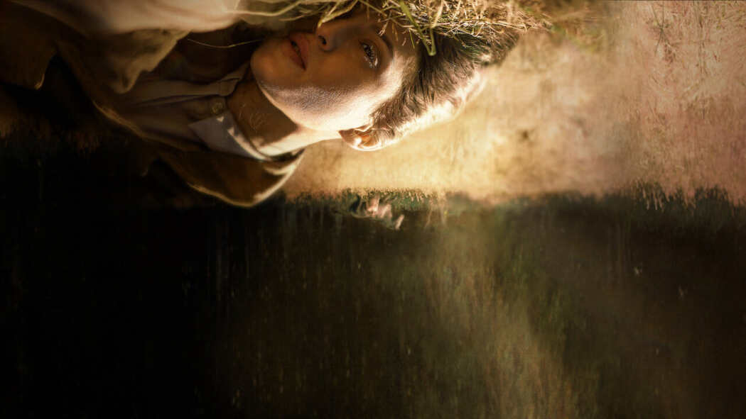 უსაფრთხო მანძილი  ქართულად -  Fever Dream