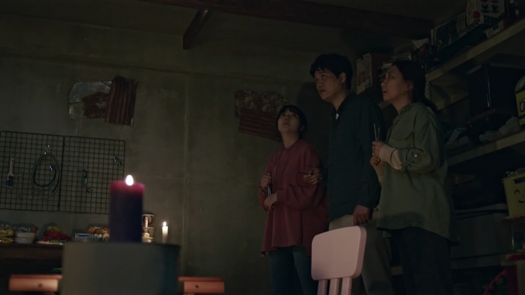 სარდაფი  ქართულად -  The Basement