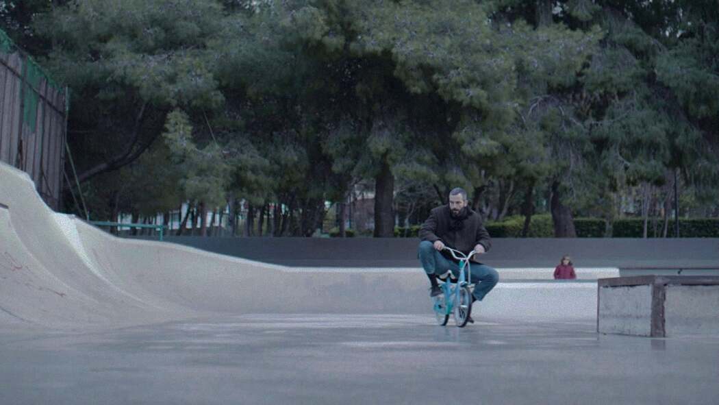 ვაშლები  ქართულად -  Apples