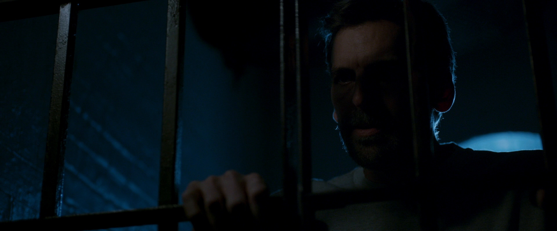 ბუნაგი  ქართულად -  Lair