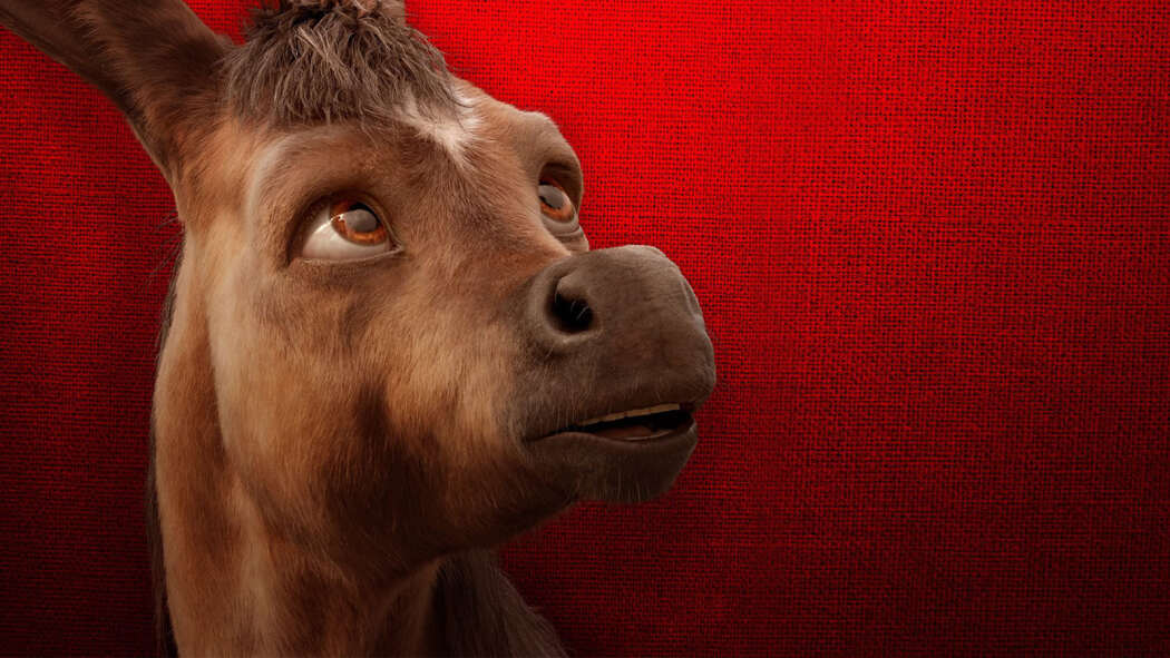 ჯადოსნურ გზებზე  ქართულად -  Upon the Magic Roads