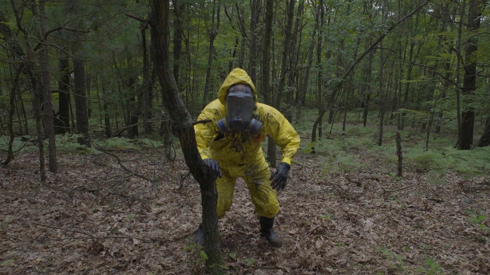 სპორა  ქართულად -  The Spore