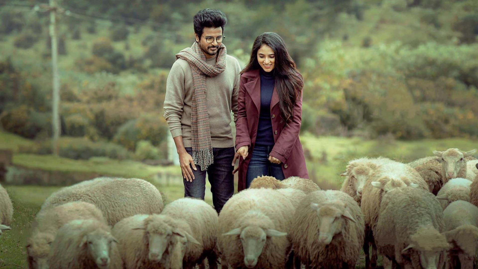 ექიმი  ქართულად -  Doctor