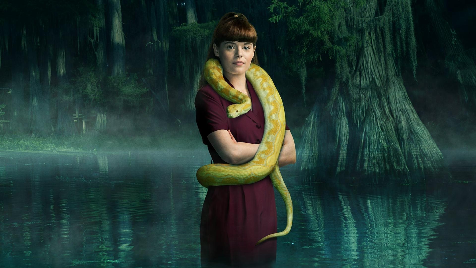 ვი.სი. ენდრიუსი: დამალული ძვირფასი ქვა  ქართულად -  V.C. Andrews Hidden Jewel