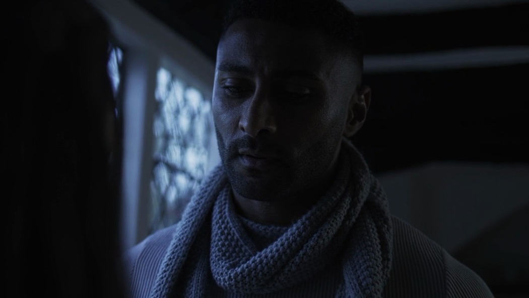 ობობა სხვენიდან  ქართულად -  Spider in the Attic