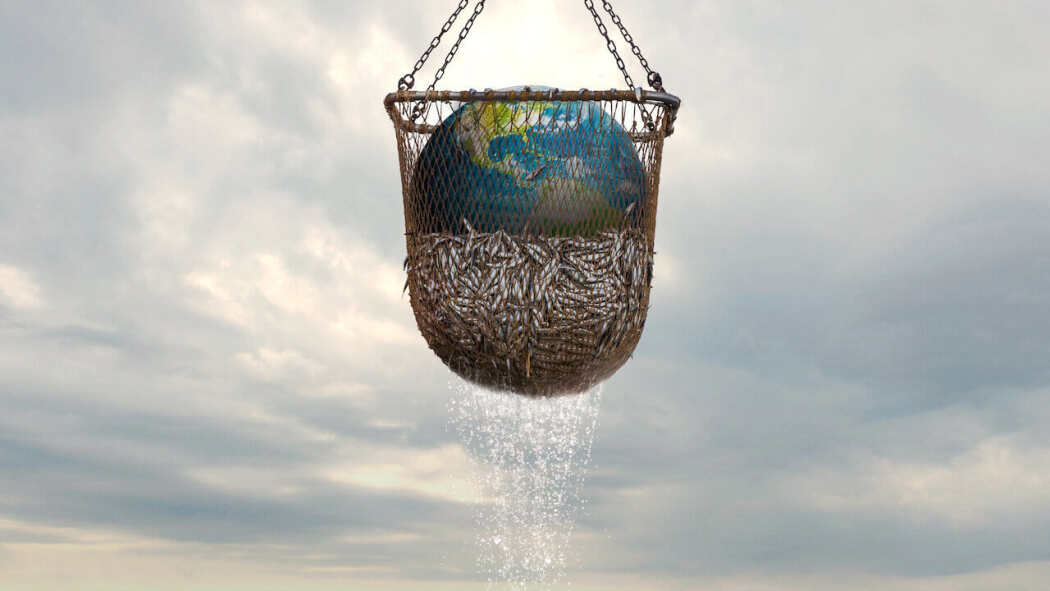 მეკობრეობა  ქართულად -  Seaspiracy