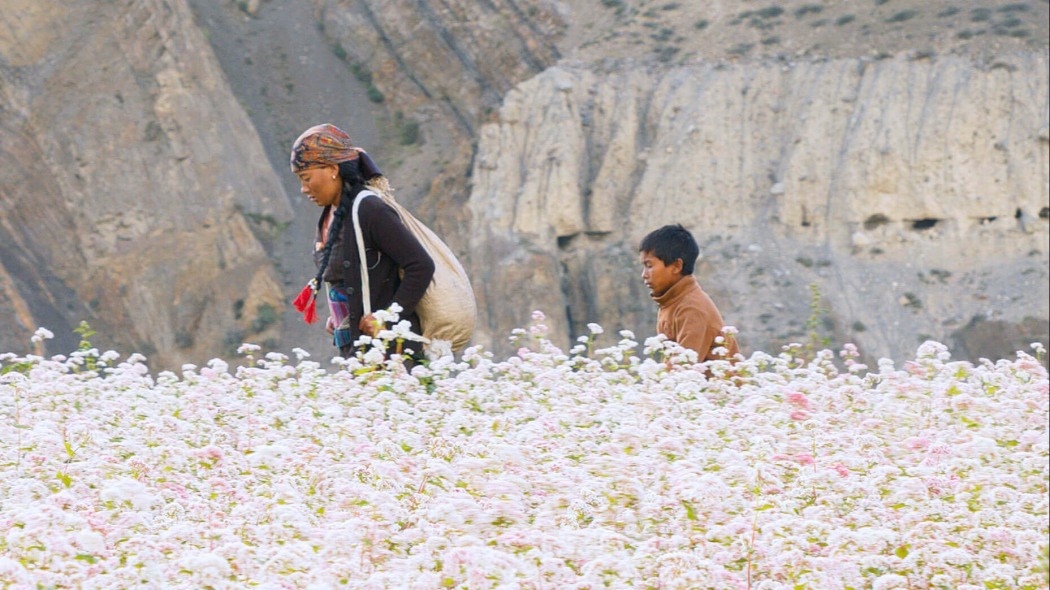 ამა ხანდო  ქართულად -  Ama Khando