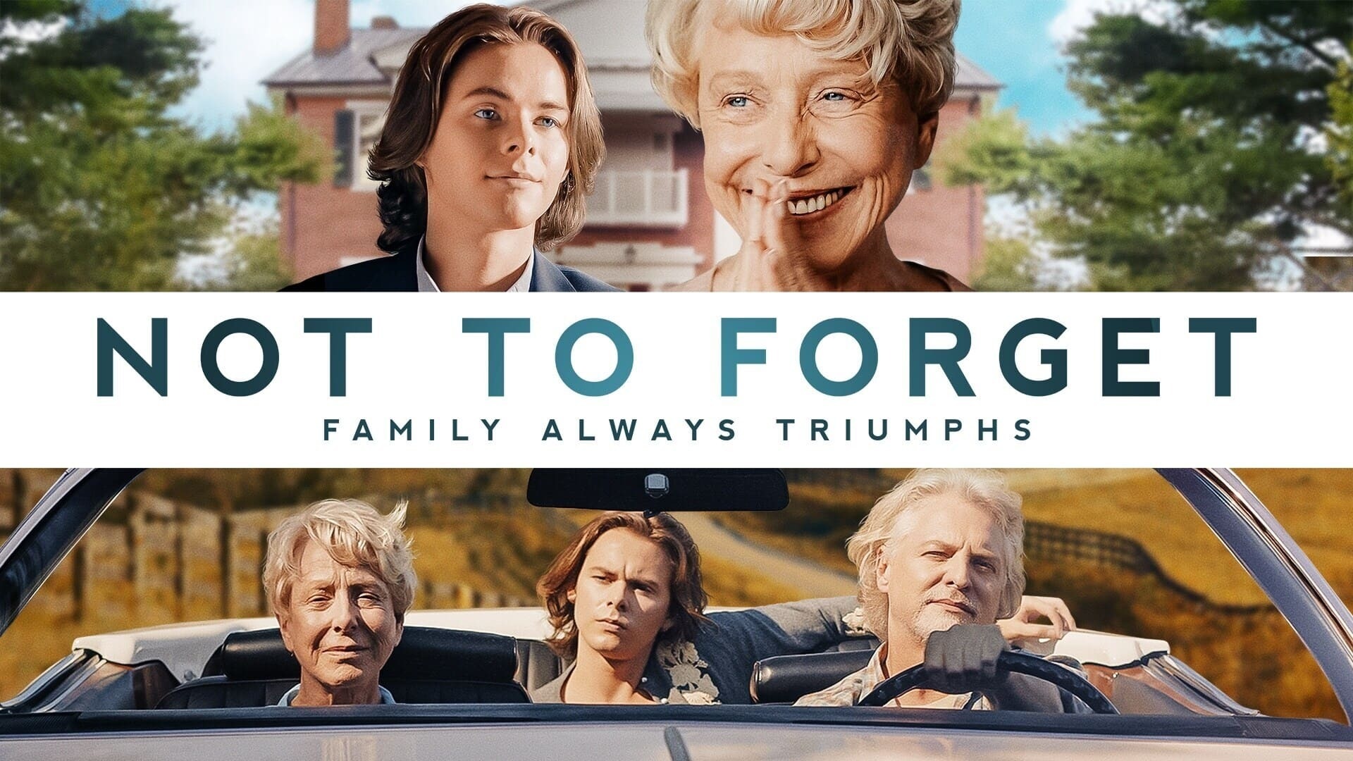 არ დაივიწყო  ქართულად -  Not to Forget