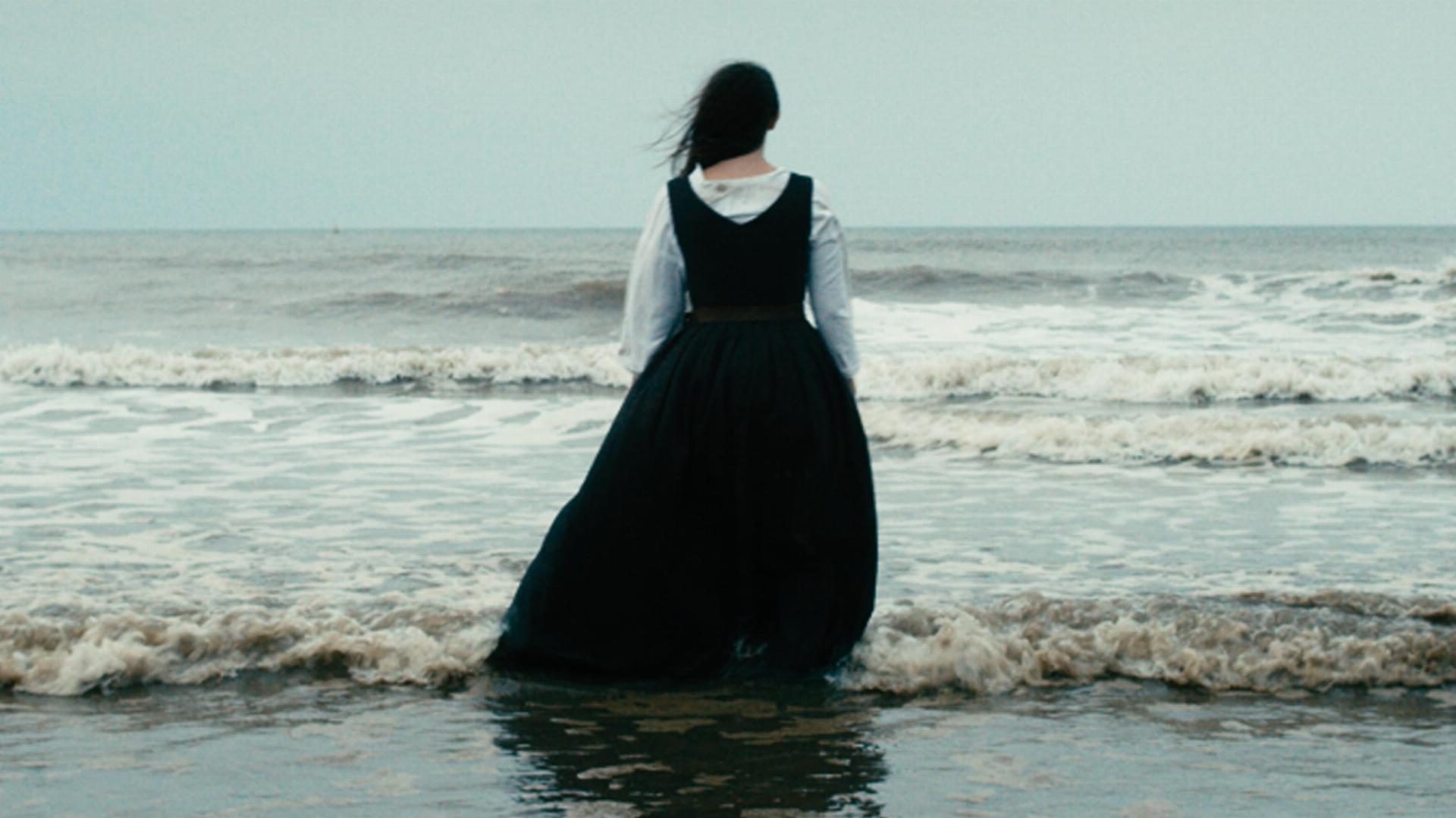 ლაპინგი  ქართულად -  Lapwing