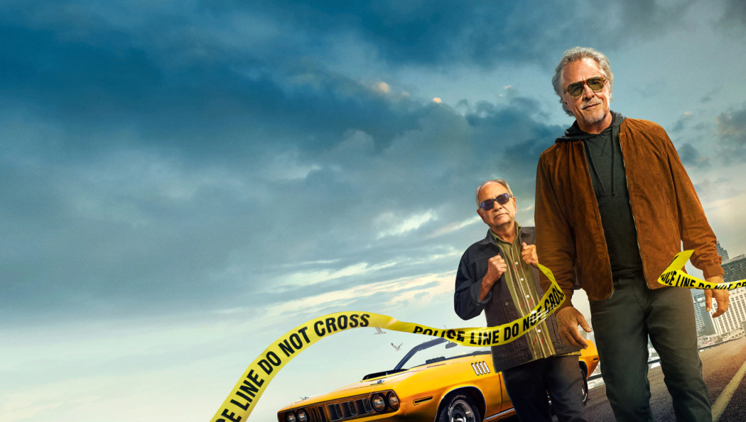 ნეშ ბრიჯესი  ქართულად -  Nash Bridges