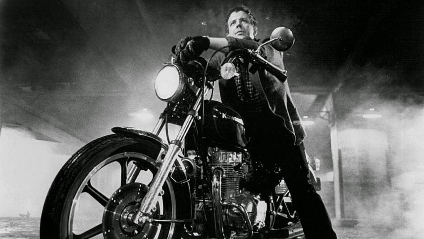 მებრძოლი თევზი  ქართულად -  Rumble Fish