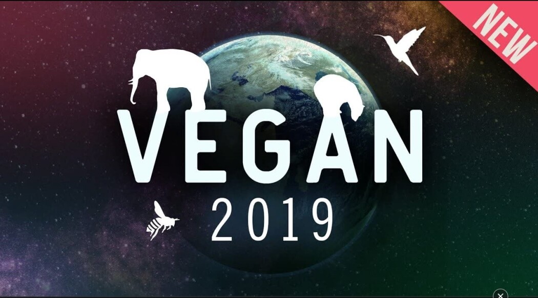 ვეგანი 2019  ქართულად -  Vegan 2019