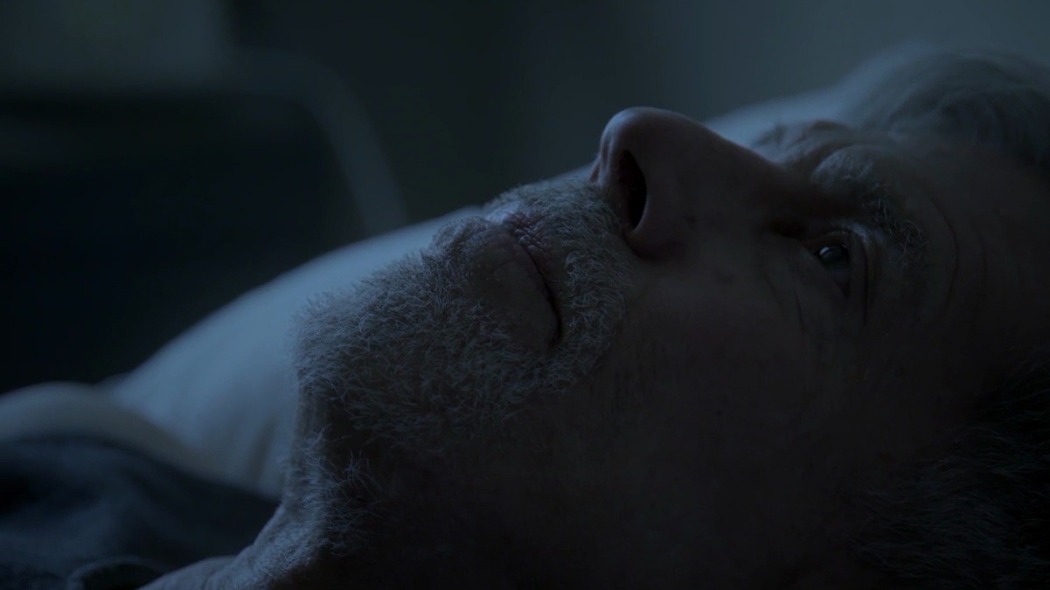 გრძნობა  ქართულად -  The Feeling