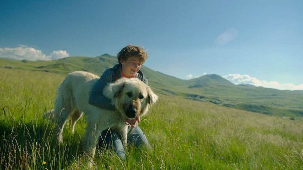 სტელა  ქართულად -  Stela