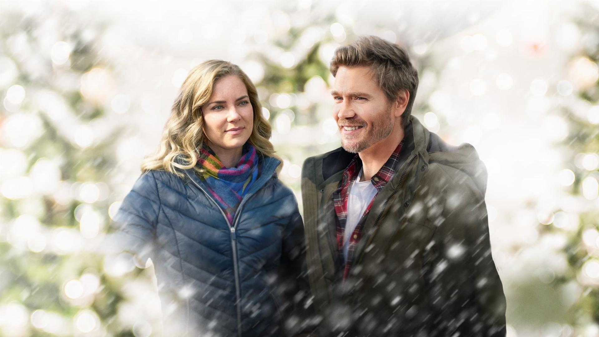 სადღესასწაულო მატარებელი  ქართულად -  The Holiday Train