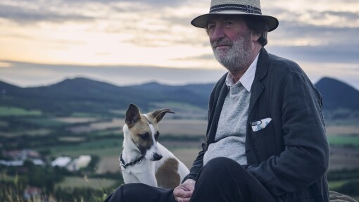 ძაღლი, რომელიც ასწავლიდა ადამიანებს ცხოვრებას  ქართულად -  Gump - pes, který naucil lidi zít