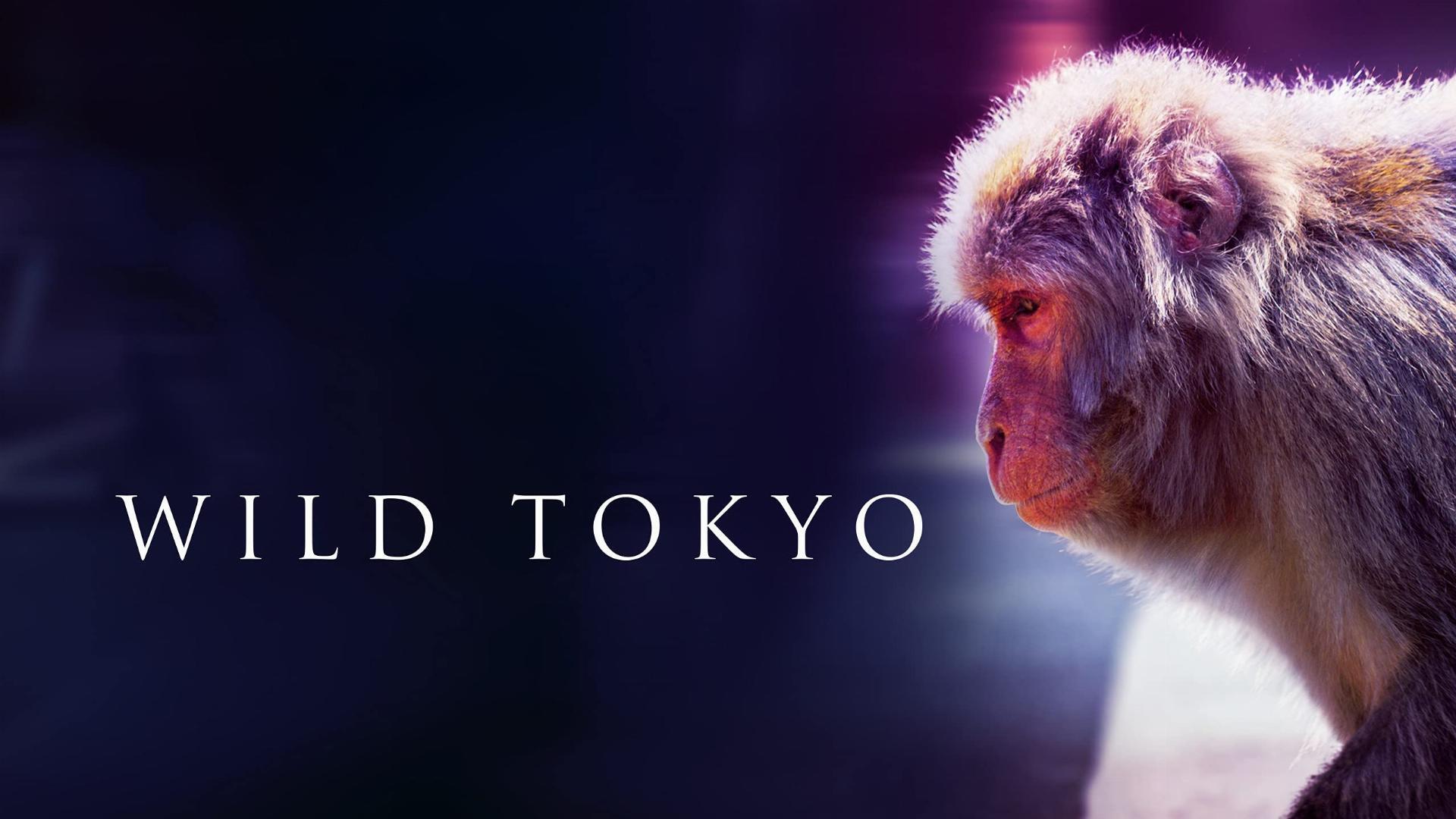 ველური ტოკიო  ქართულად -  Wild Tokyo