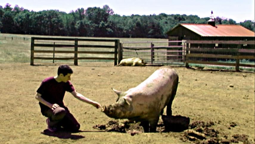 ცხოველებთან  მოპყრობა  ქართულად -  Speciesism: The Movie