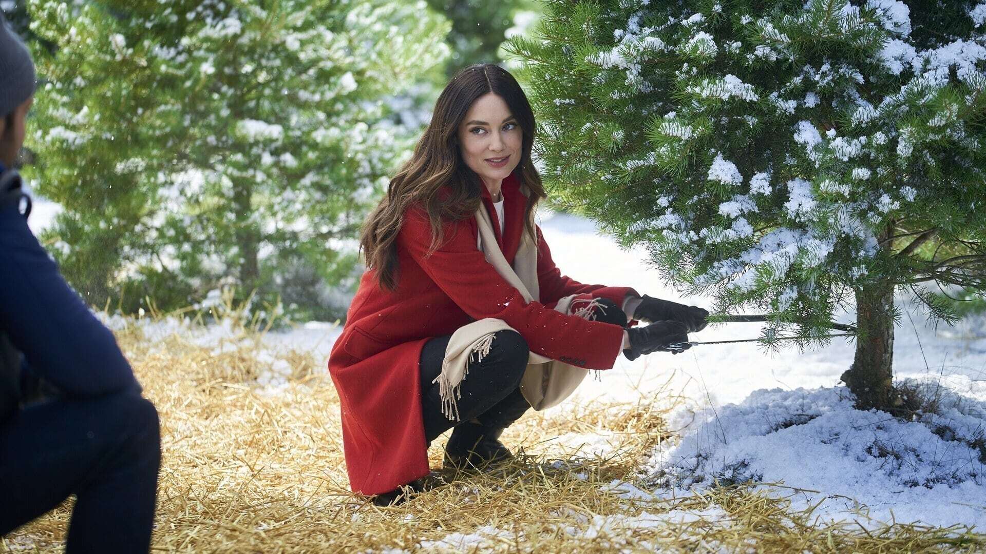 შობის მეთორმეტე დღეს  ქართულად -  On the 12th Date of Christmas