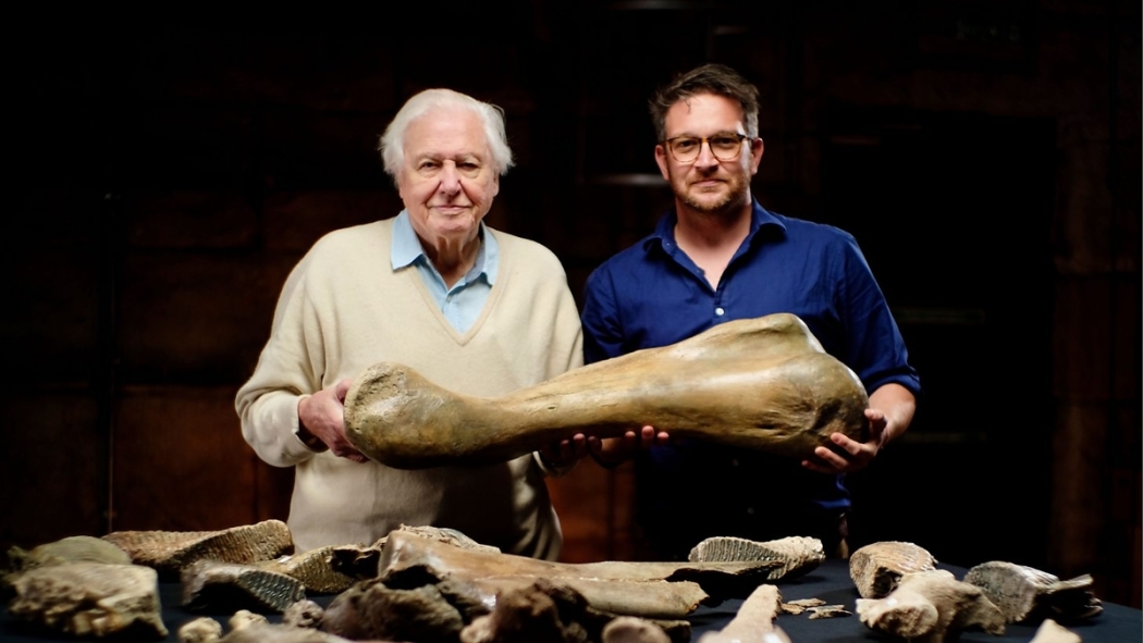 ატენბორო და მამონტების სასაფლაო  ქართულად -  Attenborough and the Mammoth Graveyard