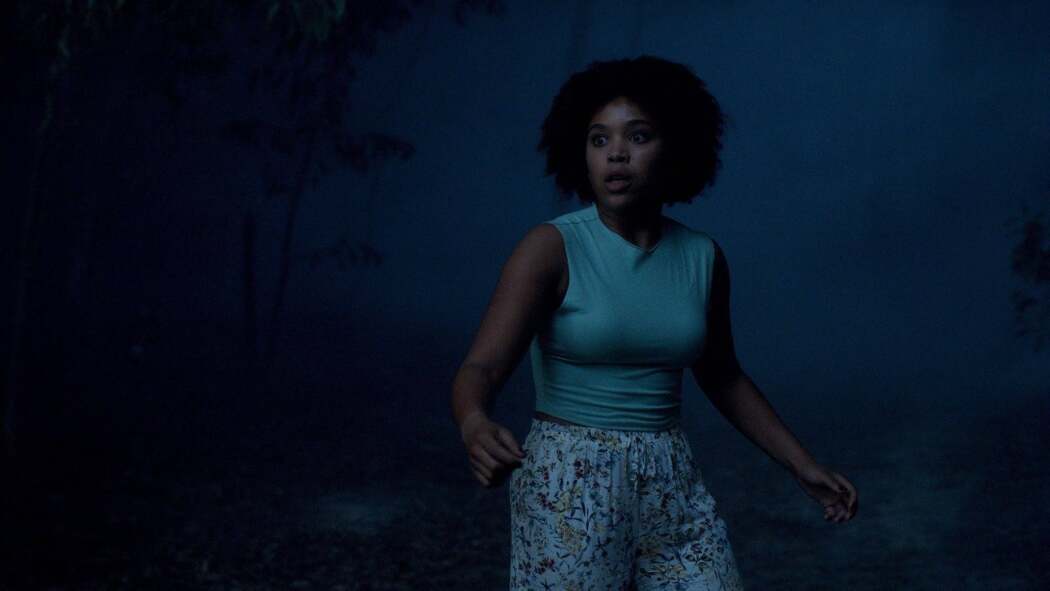 ხოცვა-ჟლეტა გოგონების ღამის შეკრებაზე  ქართულად -  Slumber Party Massacre