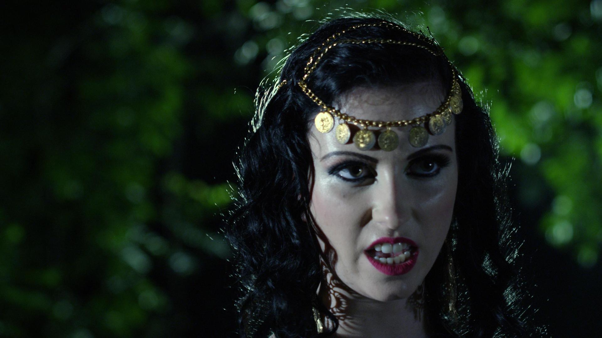 Maggie Shaynes Embrace the Twilight