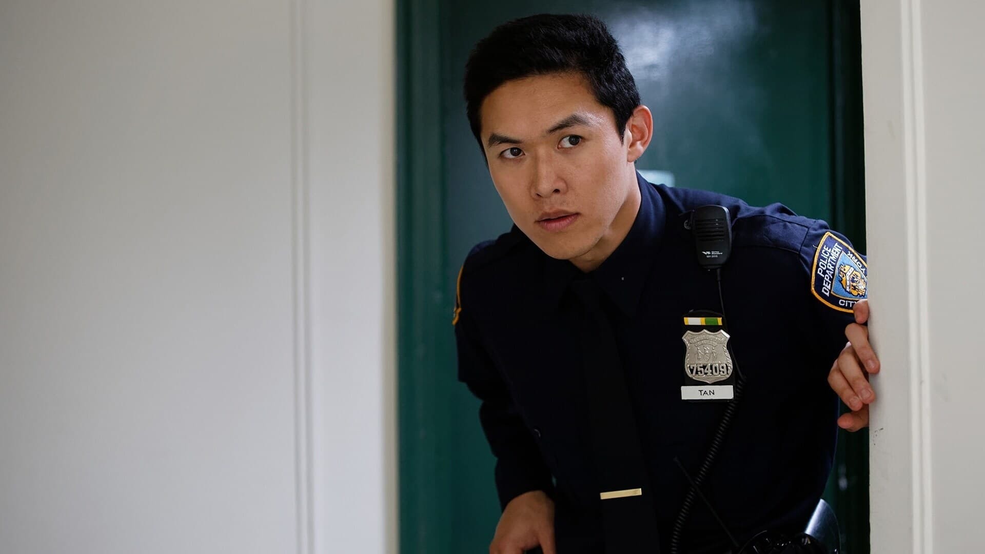 ნატყვიარი  ქართულად -  A Shot Through the Wall