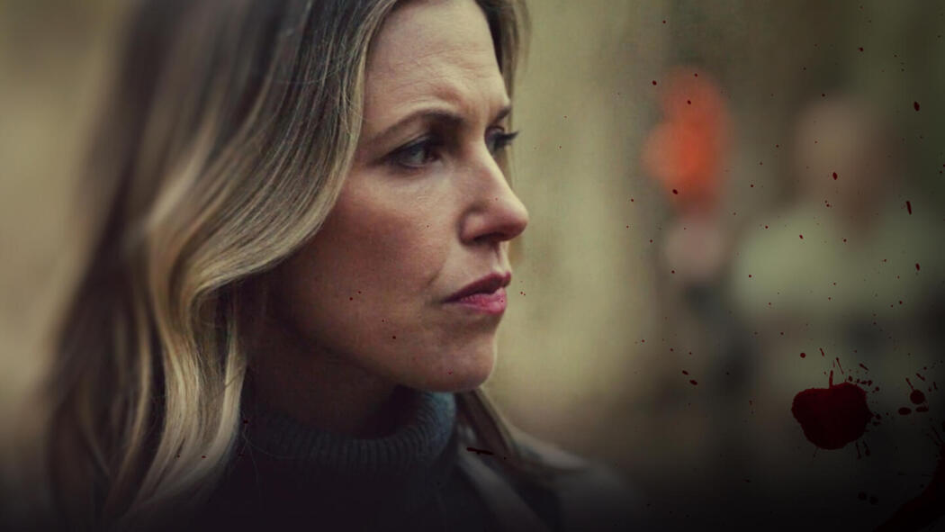 ლეიკჰაუსის მკვლელობები  ქართულად -  The Lakehouse Murders