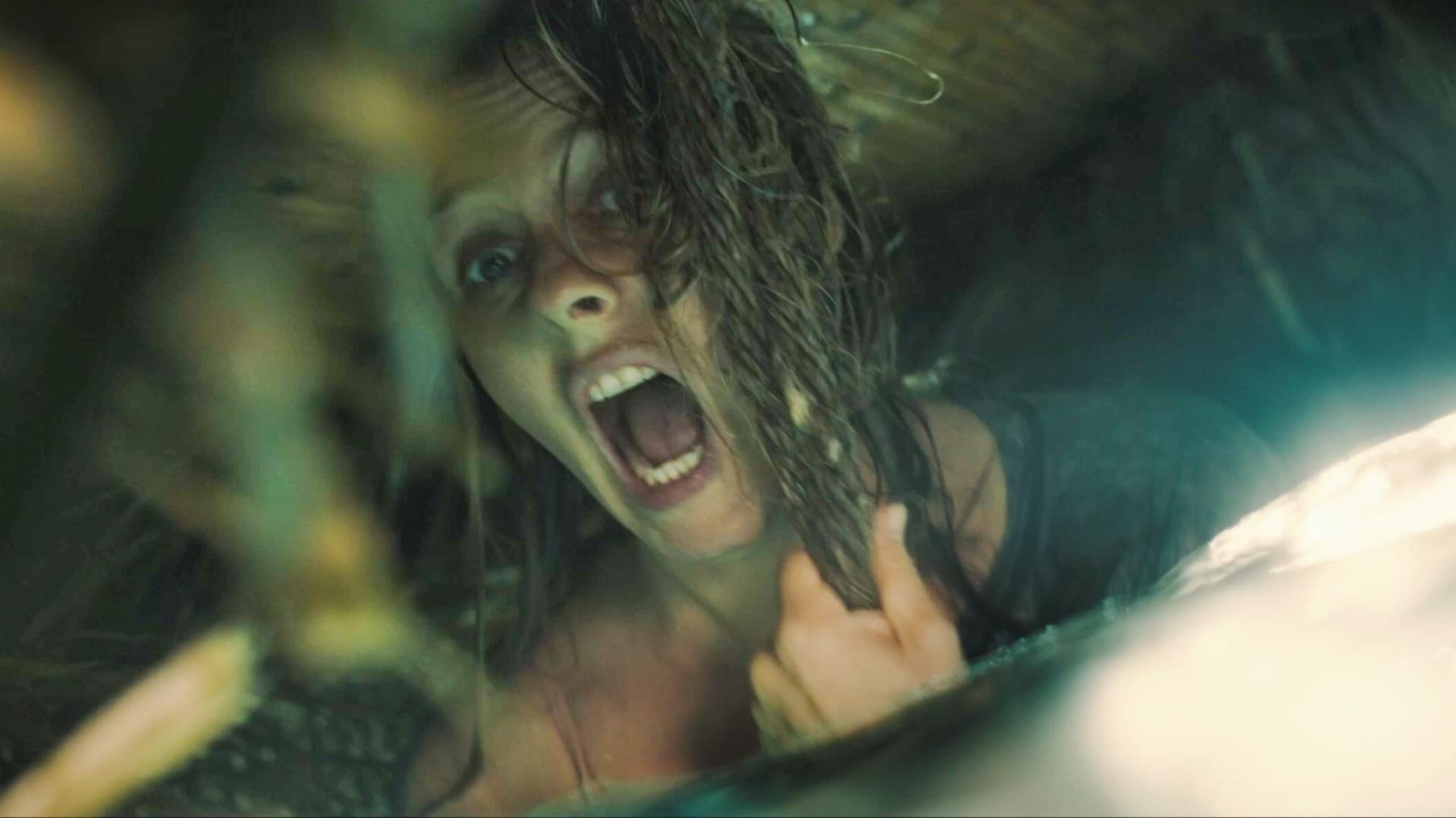 ზვიგენი  ქართულად -  The Requin