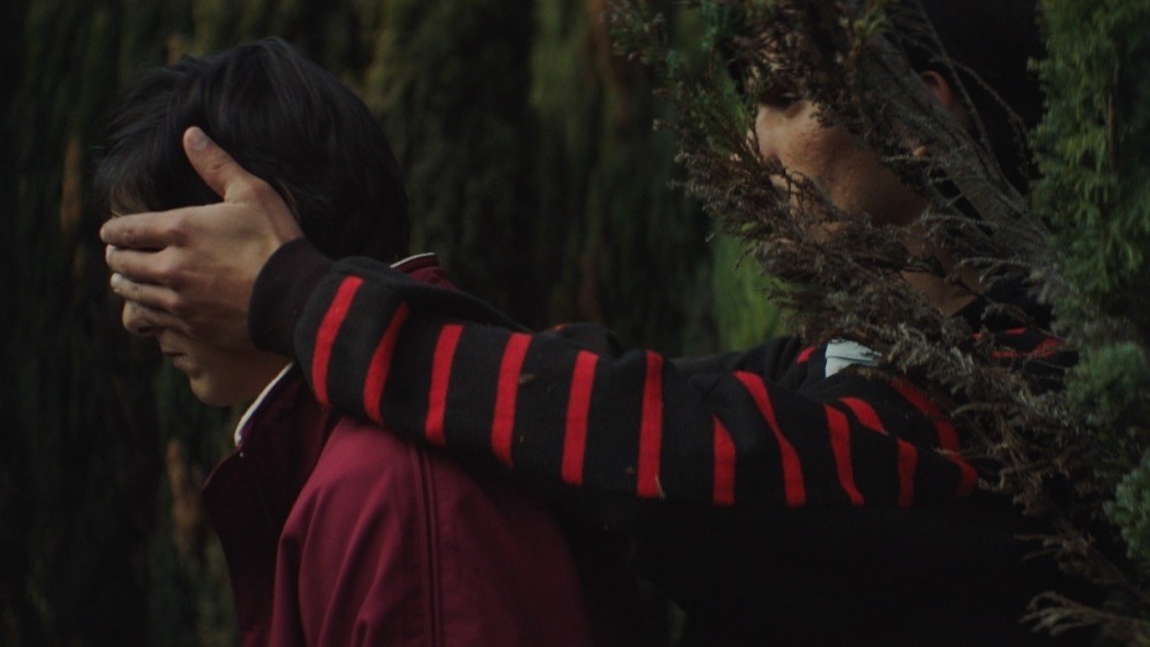 ოაზისი  ქართულად -  Oasis