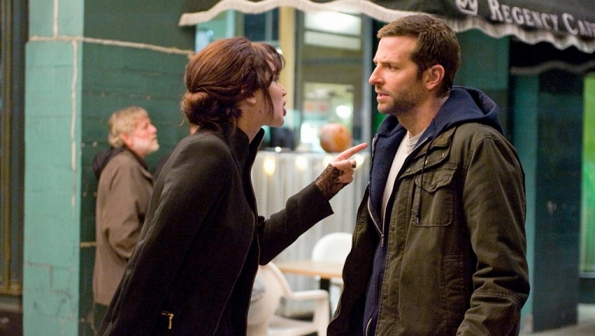იმედის სხივთა კრებული  ქართულად -  Silver Linings Playbook