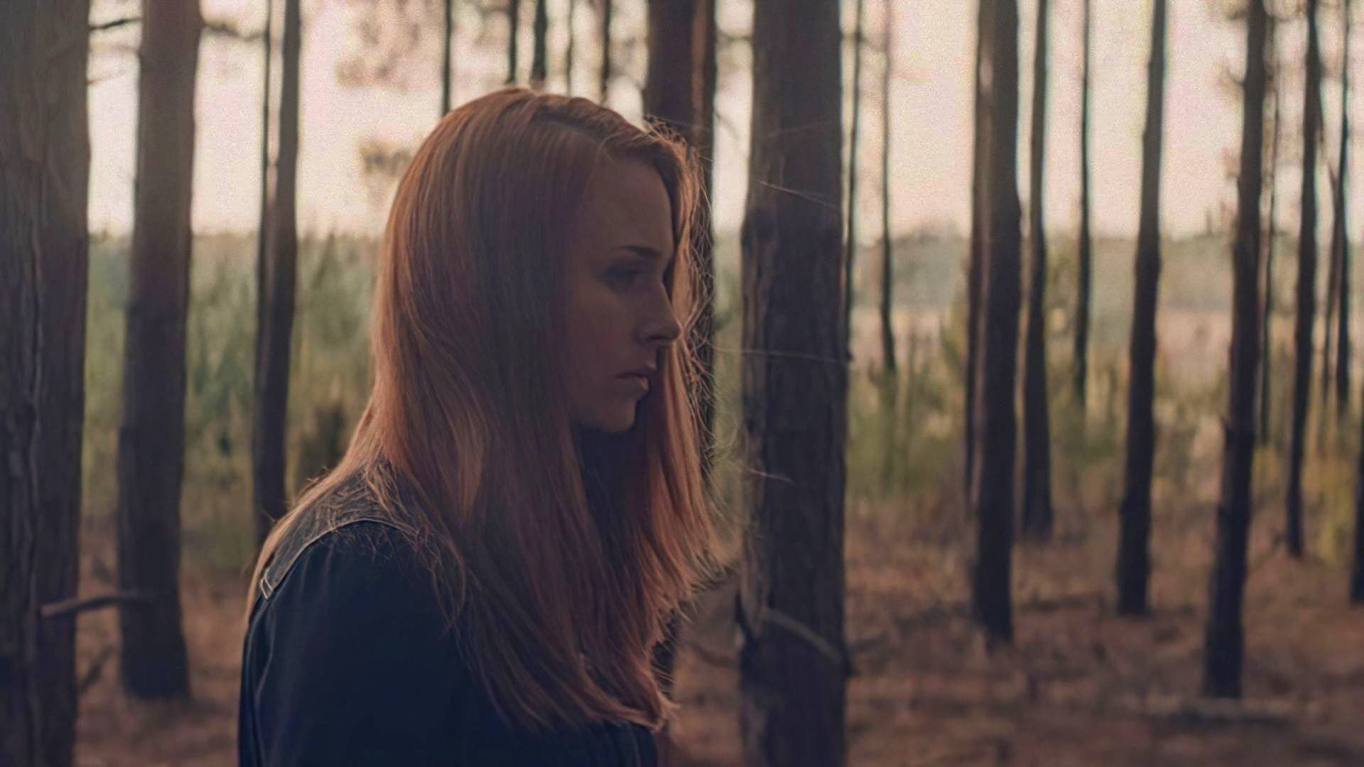 კედელი  ქართულად -  The Wall