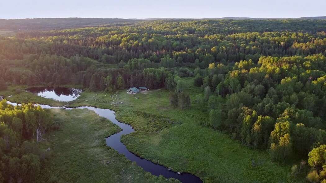 გაიქეცი სინათლისგან  ქართულად -  Flee the Light