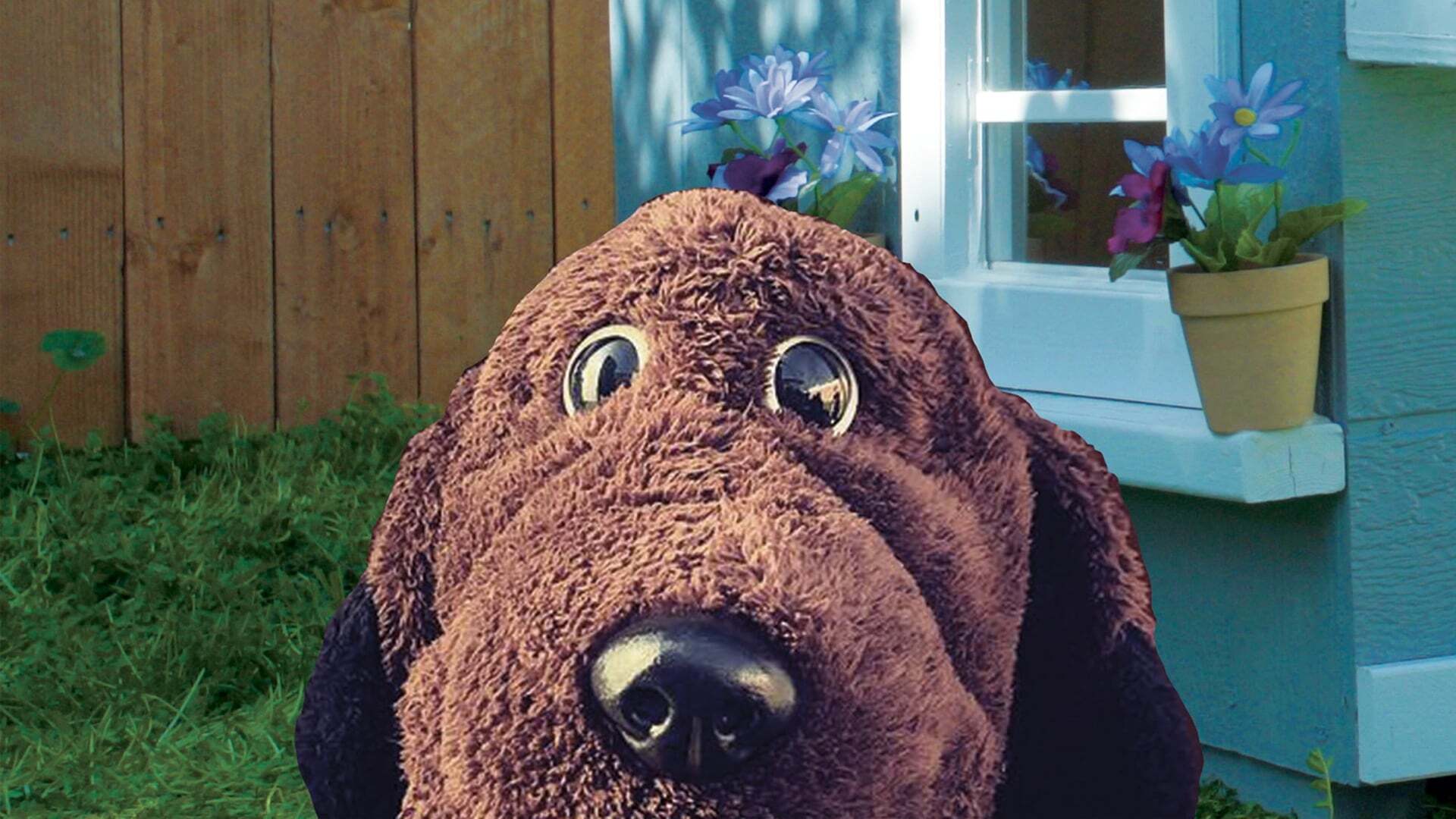 ძაღლი ალანი  ქართულად -  Allan the Dog