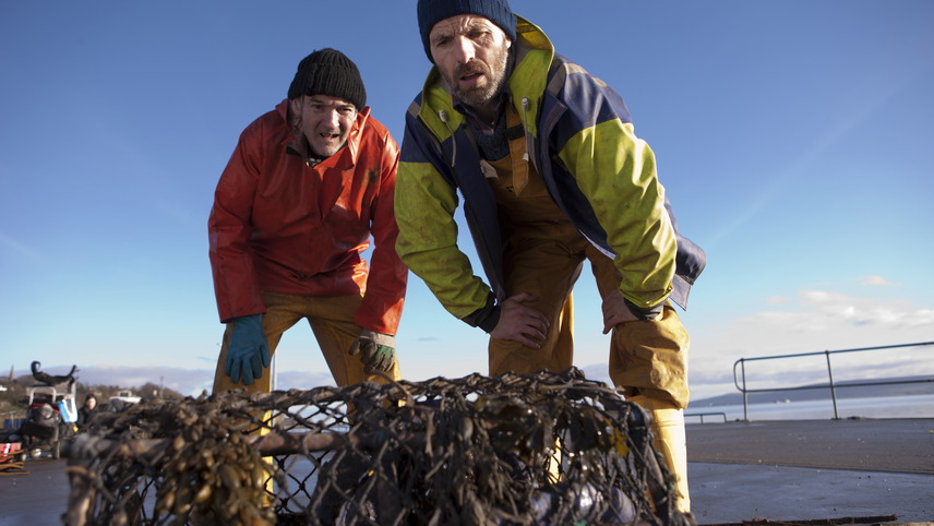 გრებერსები  ქართულად -  Grabbers