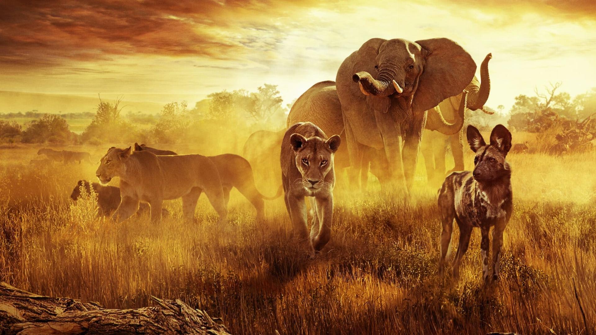 გადარჩენილი სამოთხე: ოჯახის ისტორია  ქართულად -  Surviving Paradise: A Family Tale