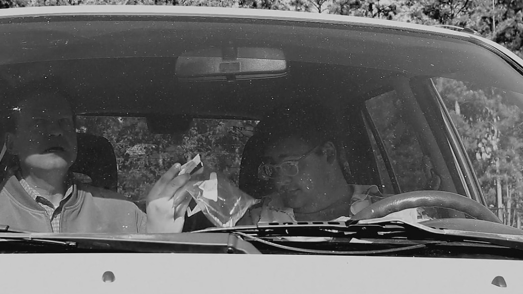 შეშლილის ისტორიები  ქართულად -  Stories of a Madman