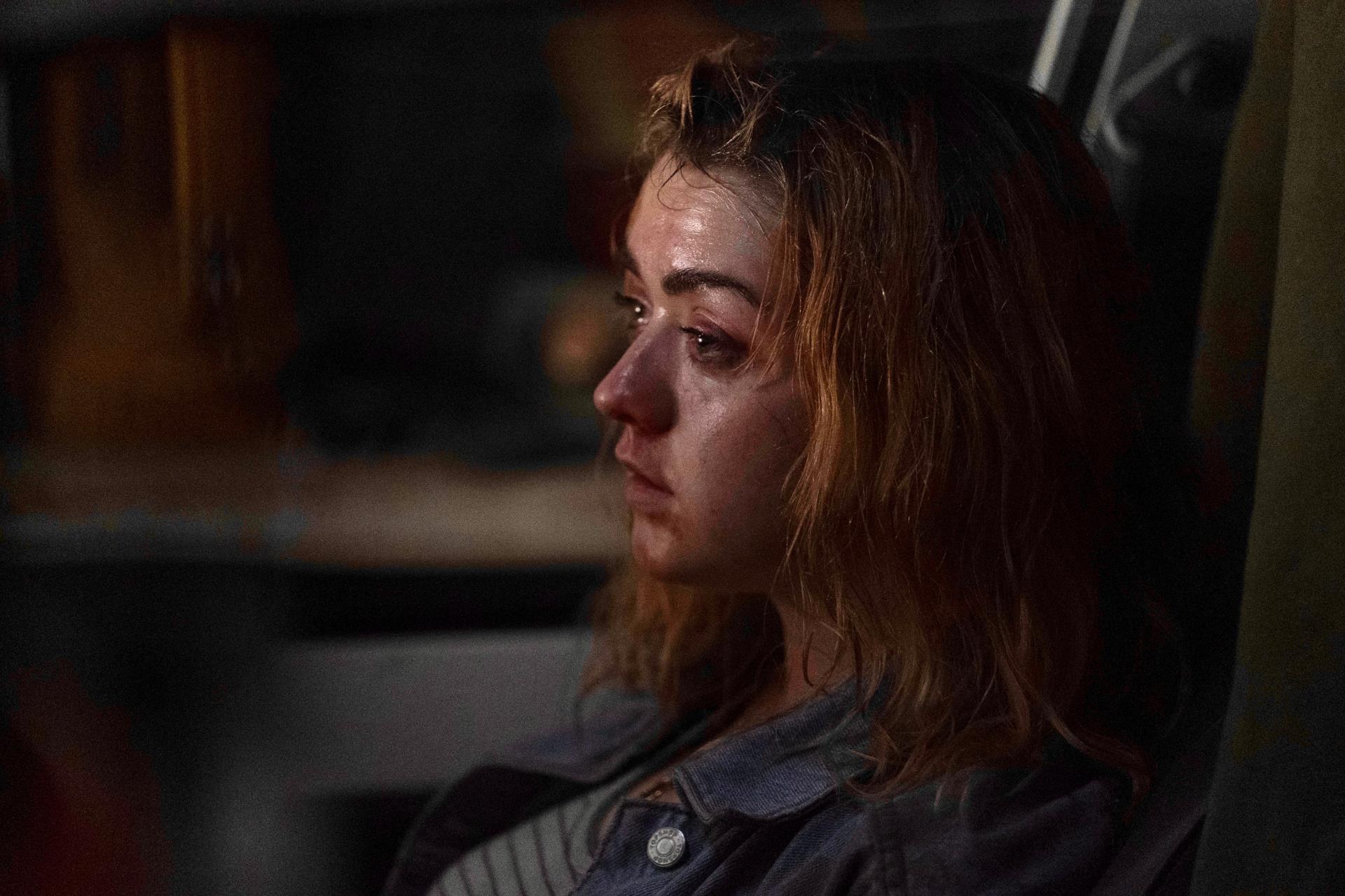 მფლობელები  ქართულად -  The Owners