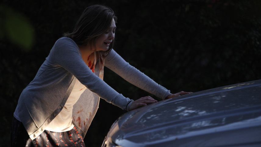 ჩუმი სახლი  ქართულად -  Silent House