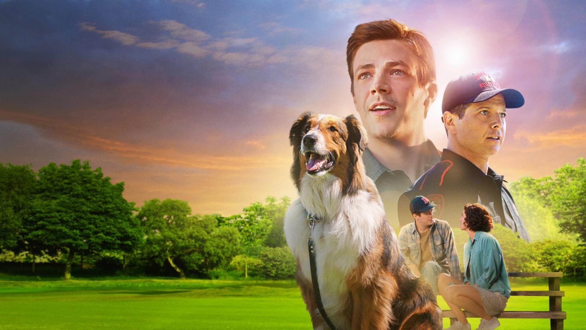 მხსნელი რუბი  ქართულად -  Rescued by Ruby