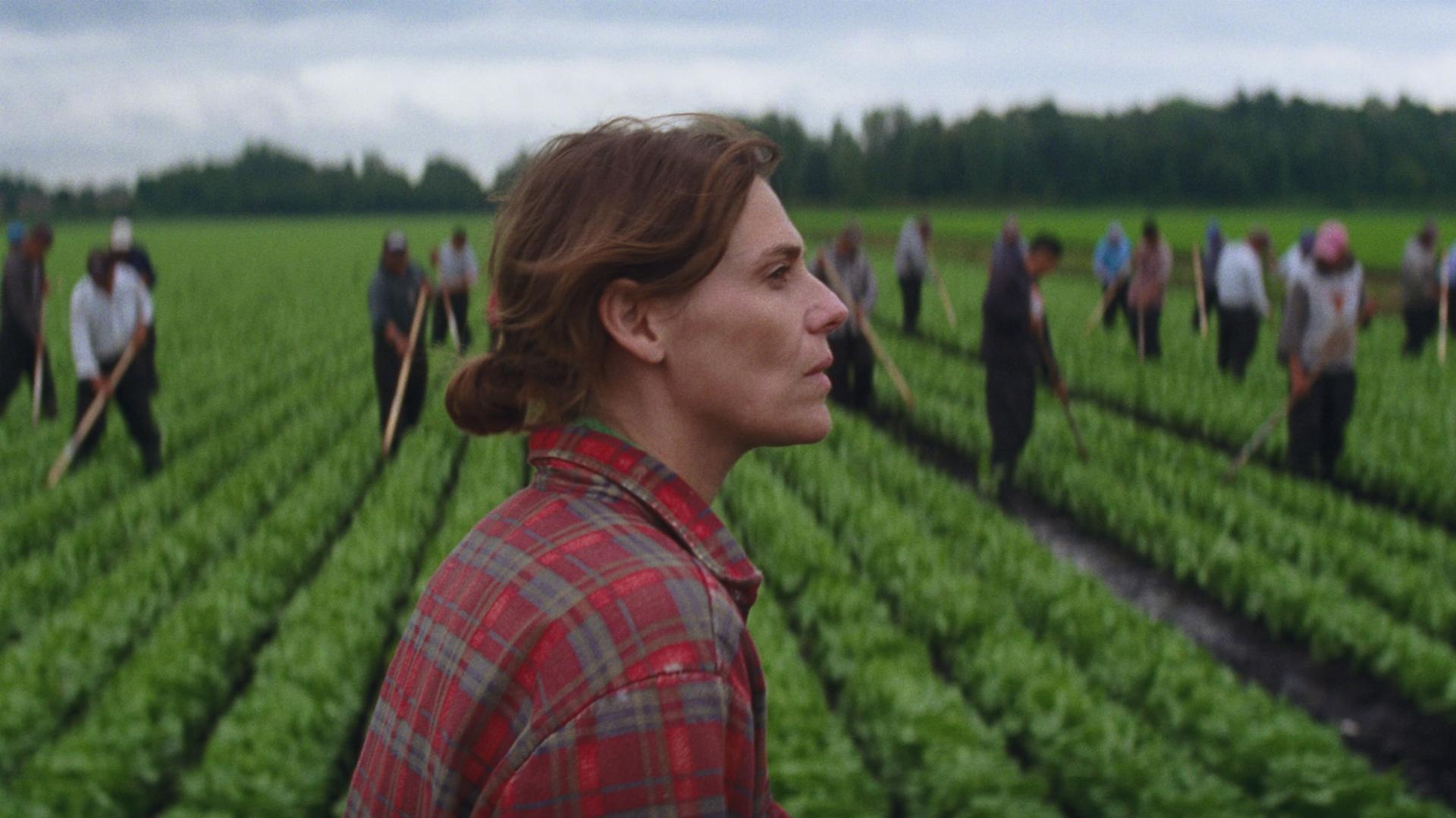 გაბრუებული ჩიტები  ქართულად -  Drunken Birds