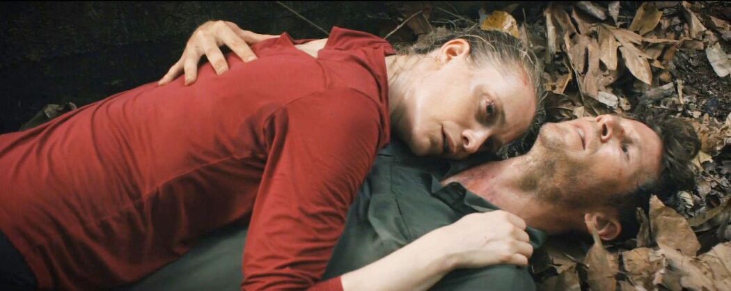 თავდამსხმელი  ქართულად -  Assailant