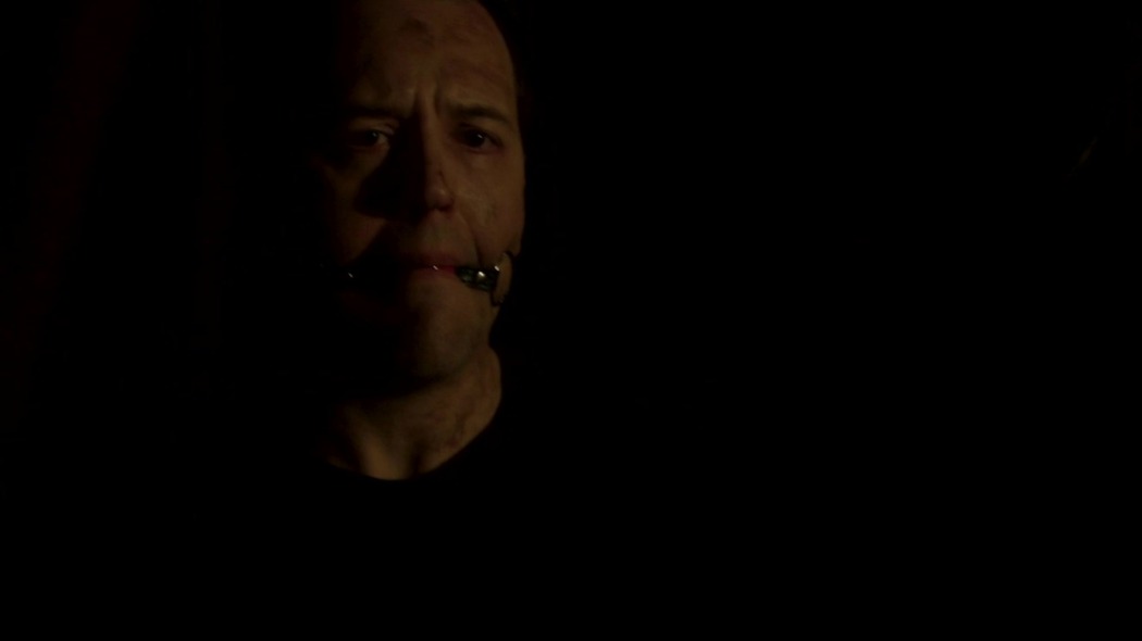 მკივანა დაბრუნდა  ქართულად -  The Whooper Returns