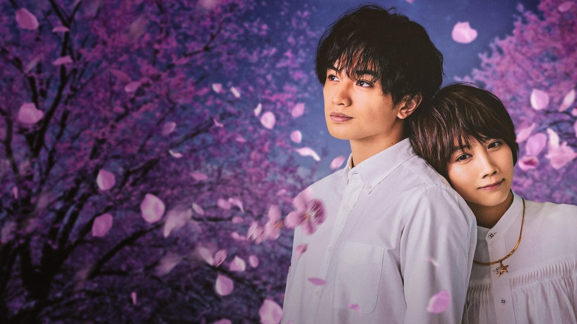 Love Like the Falling Petals  ქართულად -  Моя любимая словно цветок сакуры