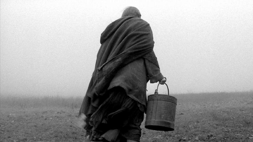 ტურინის ცხენი  ქართულად -  The Turin Horse